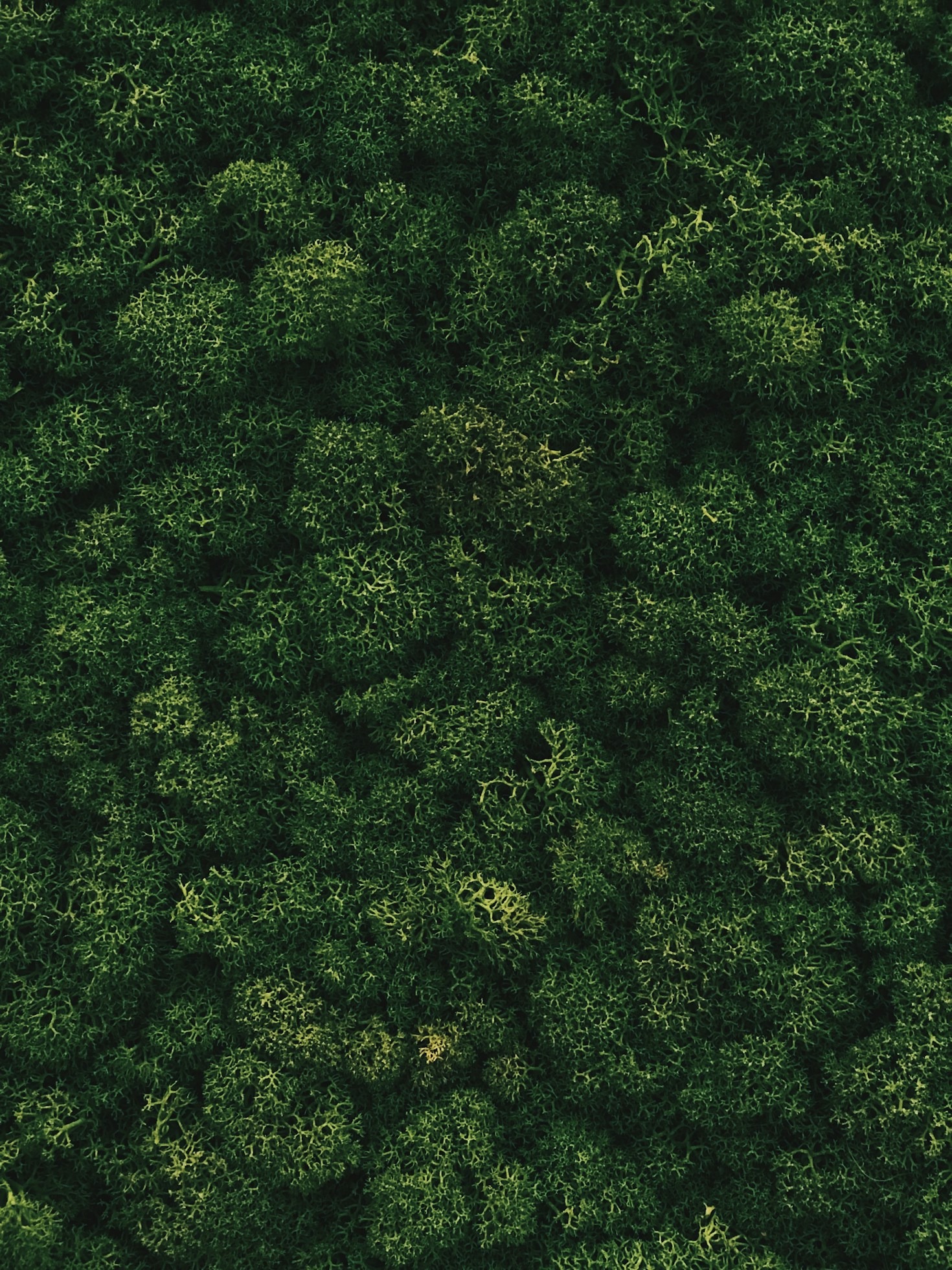 The Role of Innovation in Addressing Environmental Challenges