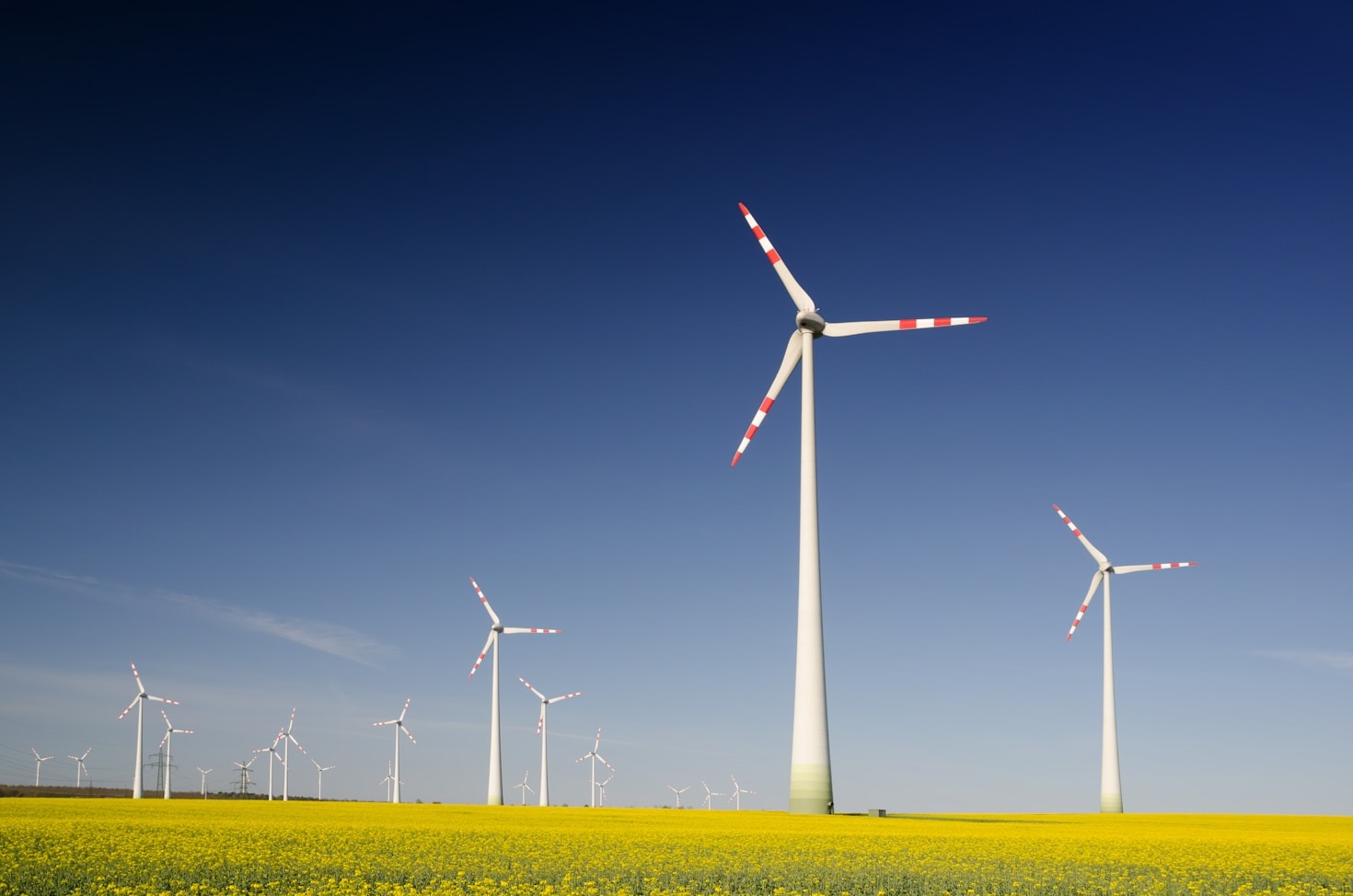 Eco-Centric Solutions: A New Era of Sustainability