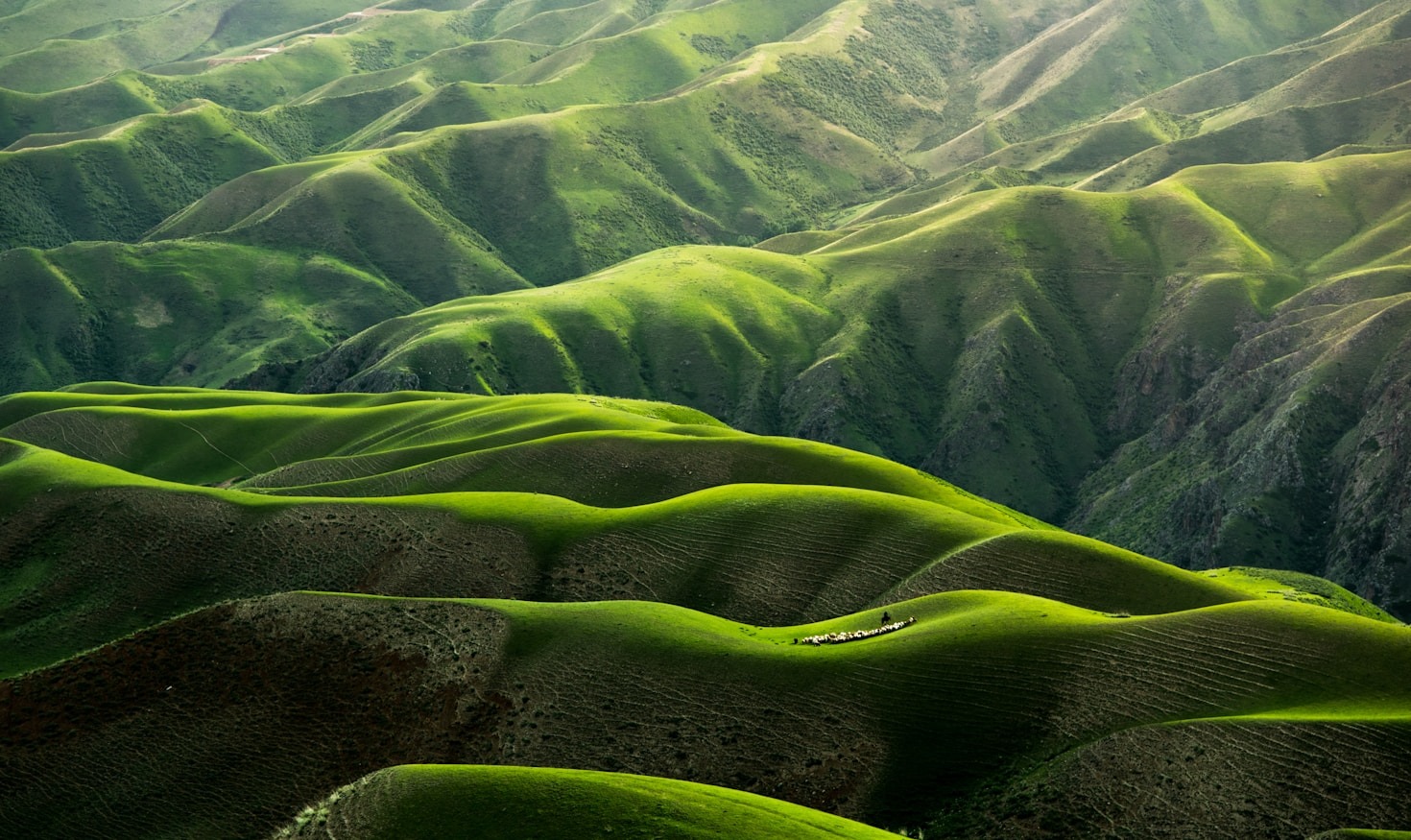 The Future of Green Innovations and Sustainability