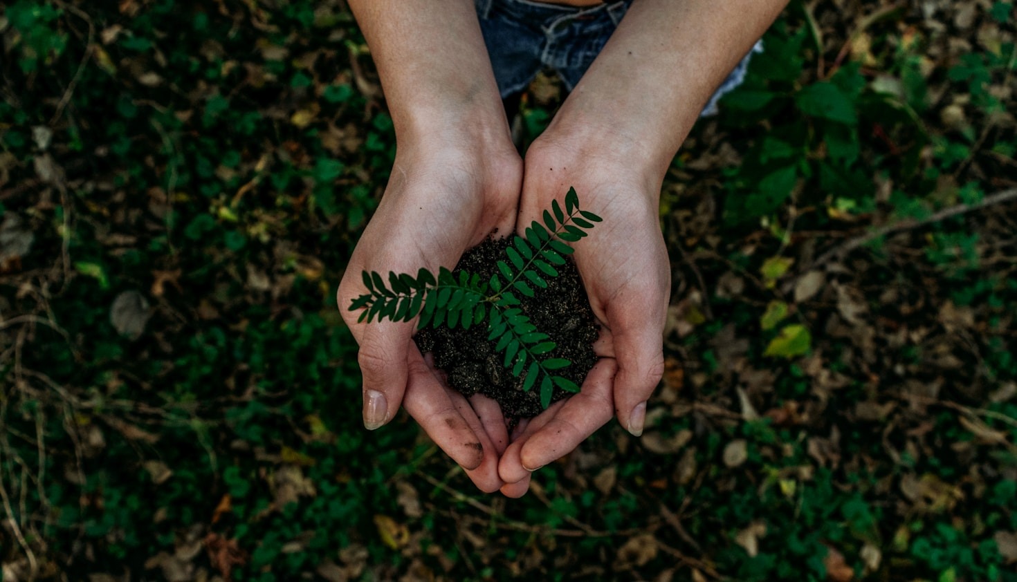 Breaking Down the Benefits of Eco-Conscious Practices