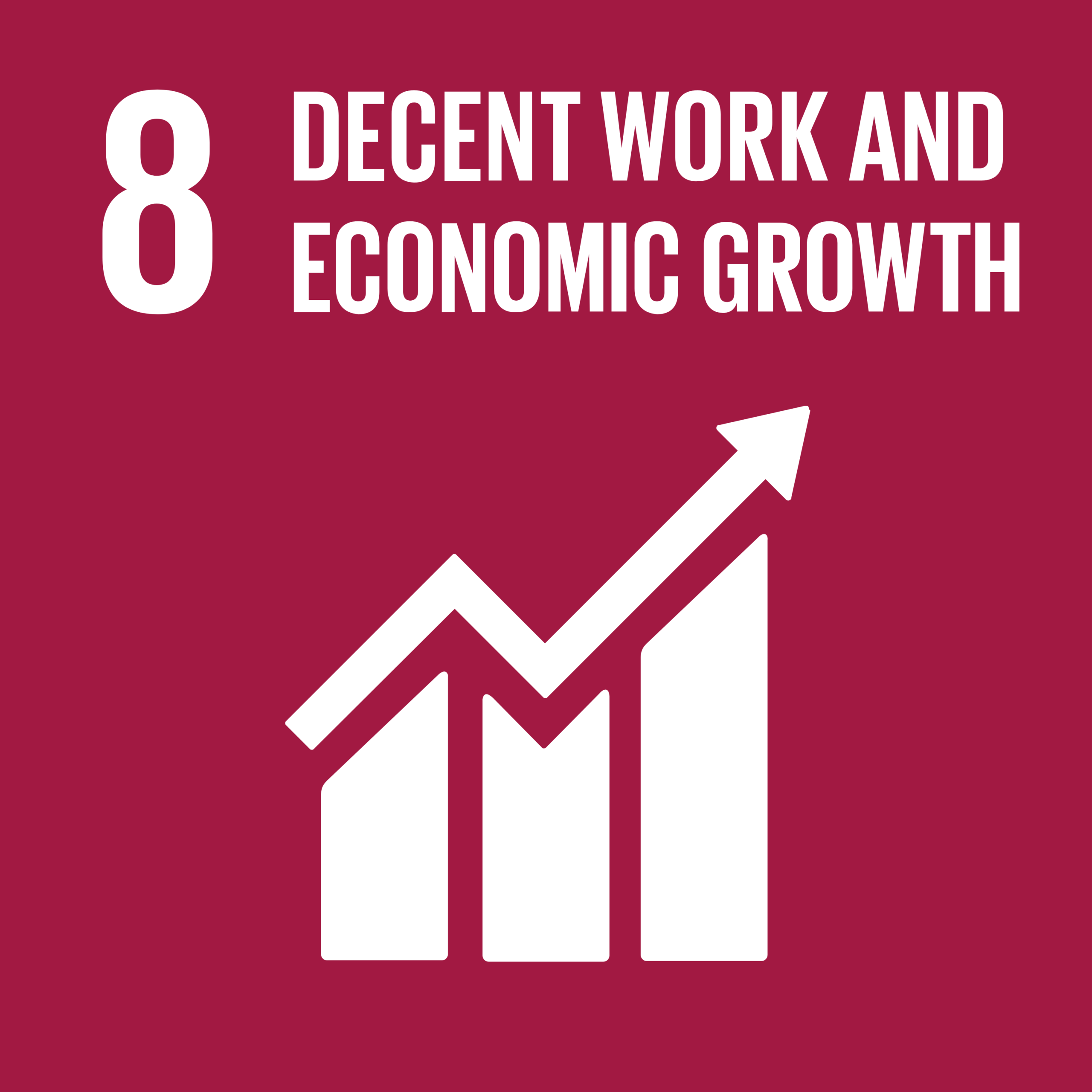 SDG 8